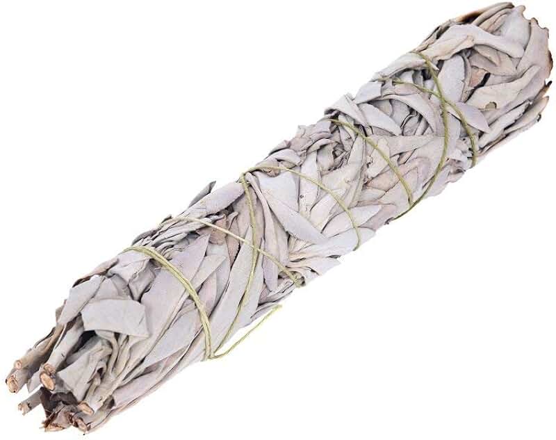 9" White Sage