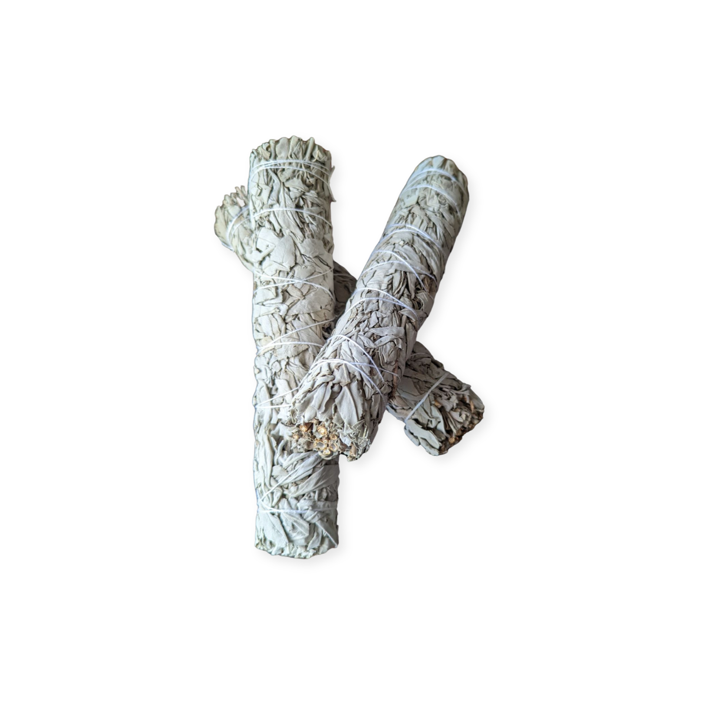 9" White Sage